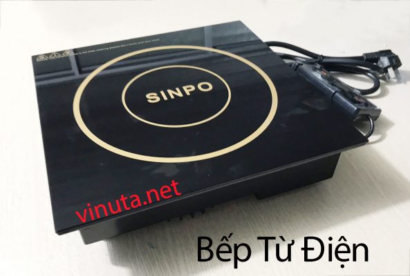 bếp từ điện