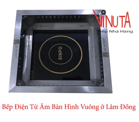 bếp điện từ âm bàn hình vuông ở lâm đồng