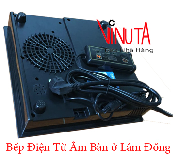 bếp điện từ âm bàn ở lâm đồng