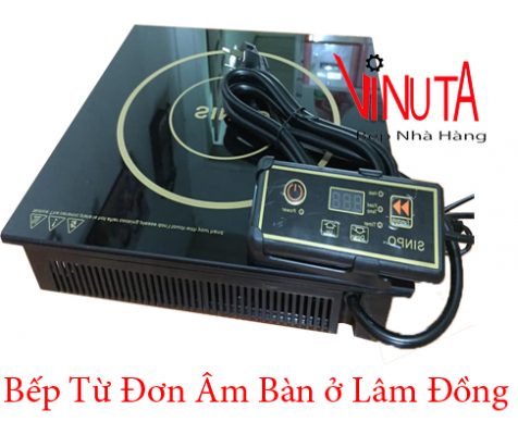 bếp từ đơn âm bàn ở lâm đồng