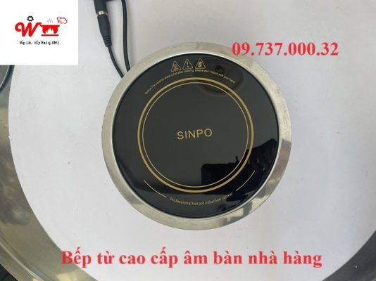 bếp từ cao cấp âm bàn