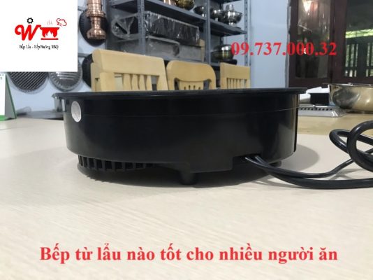 bếp từ nào tốt cho nhiều người