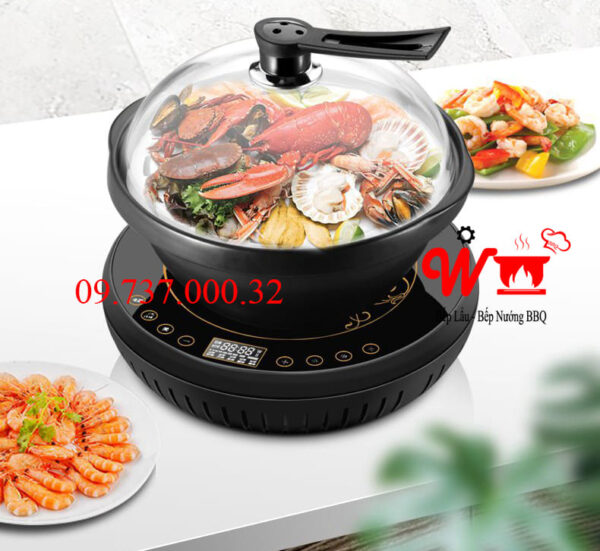 Bếp lẩu hơi gia đình, nồi lẩu tỳ hưu, lẩu hơi nước, sauna, hấp cách thủy rẻ - Ảnh 3