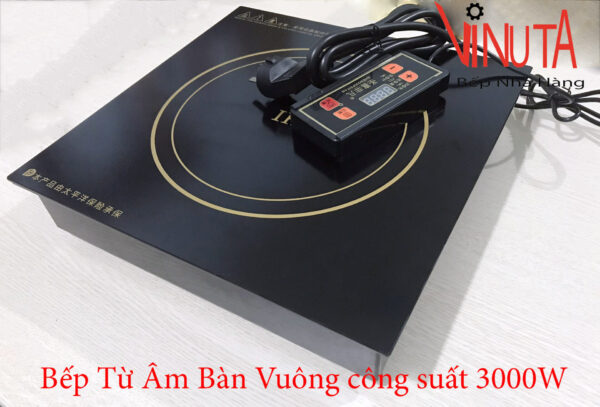 Bếp từ lẩu nhà hàng, bếp từ đơn âm bàn chuyên dùng nấu lẩu nhà hàng - quán ăn - Ảnh 2