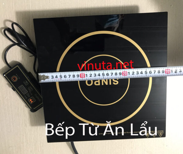 Bếp từ lẩu âm bàn nhà hàng - Ảnh 10