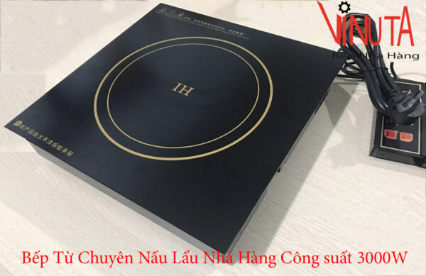Bếp từ lẩu nhà hàng, bếp từ đơn âm bàn chuyên dùng nấu lẩu nhà hàng - quán ăn - Ảnh 6