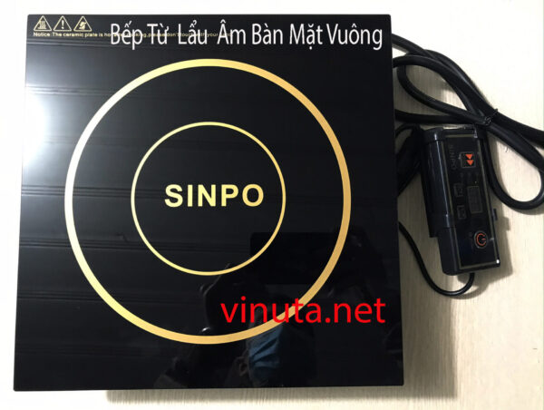 Bếp từ lẩu âm bàn nhà hàng - Ảnh 7
