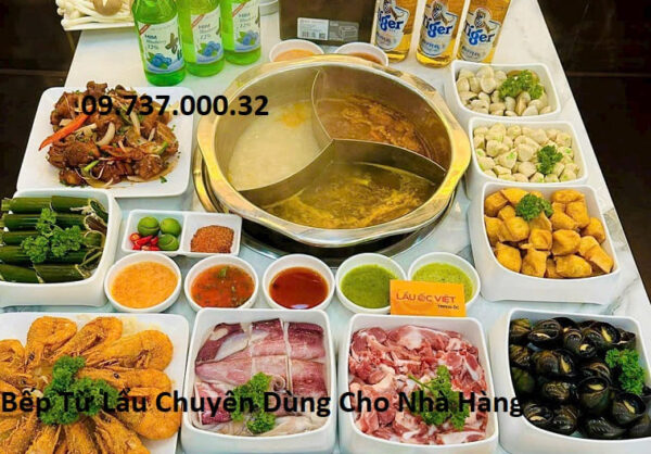 Bếp từ âm bàn tròn 3000W, mua bếp lẩu âm bàn nhà hàng tốt nhất, giá rẻ - Ảnh 10