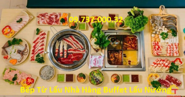 Bếp từ lẩu tứ vị, bếp lẩu nhà hàng tứ xuyên, bếp lẩu vuông âm bàn 2000W - Ảnh 5