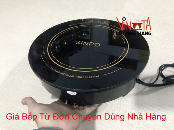 giá bếp từ đơn nấu lẩu, mua bếp điện từ đơn âm bàn nhà hàng giá rẻ, uy tín - Ảnh 4