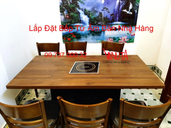 Bếp từ vuông nhà hàng 2500W, bếp lẩu âm bàn tốt nhất cho nhà hàng - Ảnh 5