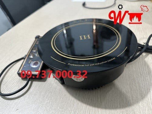 Bếp điện từ âm bàn