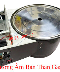 Bếp nướng âm bàn Than - Gas