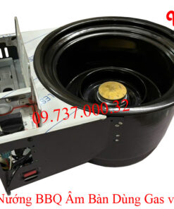 Bếp nướng BBQ âm bàn dùng Gas và Than